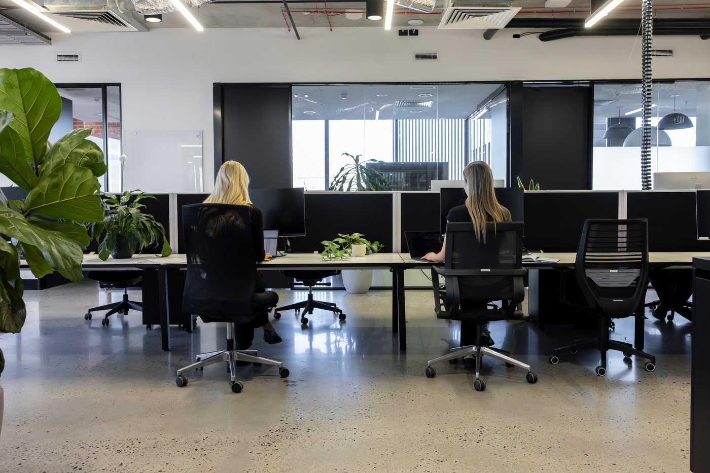Open workspace at W.hub Elsternwick